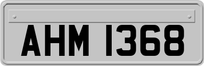 AHM1368