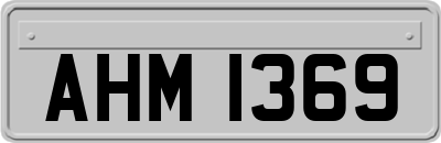 AHM1369