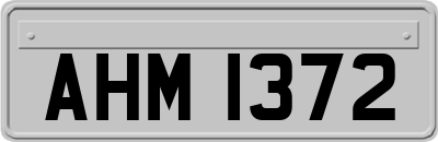 AHM1372