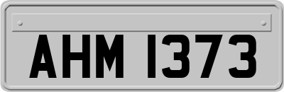 AHM1373