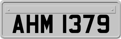 AHM1379