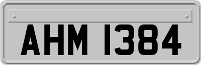 AHM1384