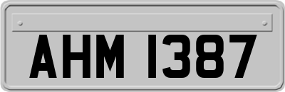 AHM1387