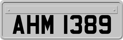 AHM1389