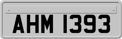 AHM1393