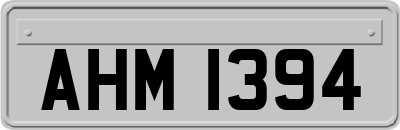 AHM1394