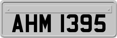 AHM1395