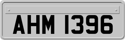 AHM1396