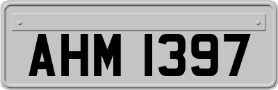 AHM1397