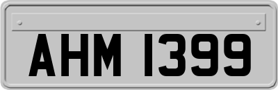 AHM1399