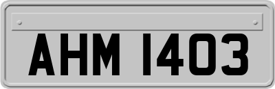 AHM1403