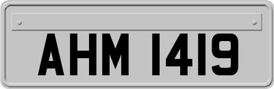 AHM1419
