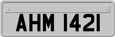 AHM1421