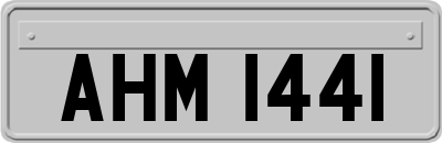 AHM1441