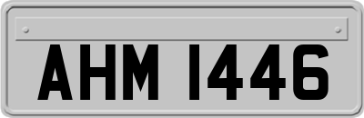 AHM1446