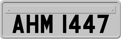 AHM1447