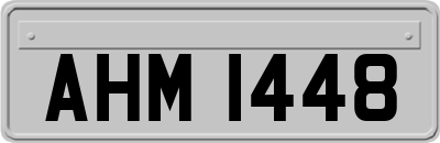 AHM1448