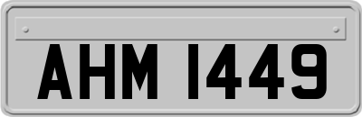 AHM1449