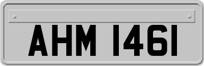 AHM1461