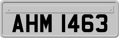 AHM1463
