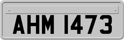 AHM1473