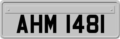 AHM1481