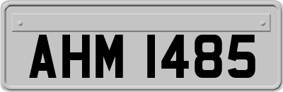 AHM1485