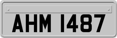 AHM1487