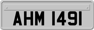 AHM1491