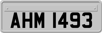 AHM1493
