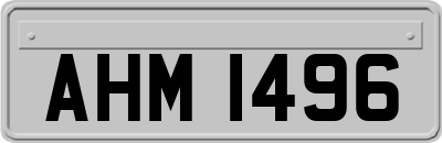 AHM1496