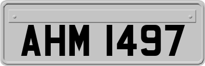 AHM1497