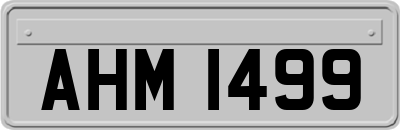 AHM1499