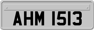 AHM1513