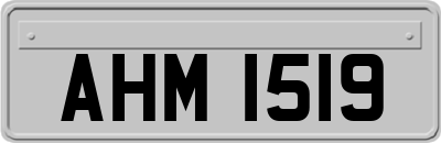 AHM1519