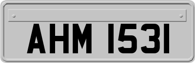 AHM1531