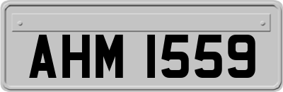 AHM1559