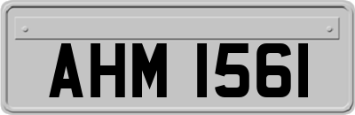 AHM1561