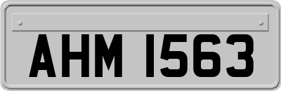 AHM1563