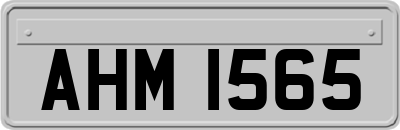 AHM1565