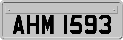 AHM1593