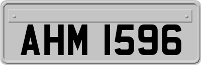 AHM1596