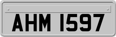 AHM1597