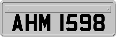 AHM1598
