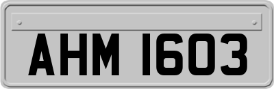 AHM1603