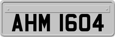 AHM1604