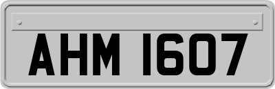 AHM1607