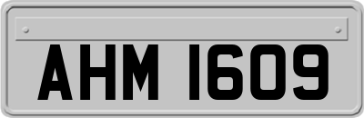 AHM1609