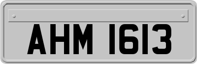 AHM1613