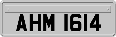 AHM1614